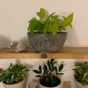 Meet your Posher, Marie